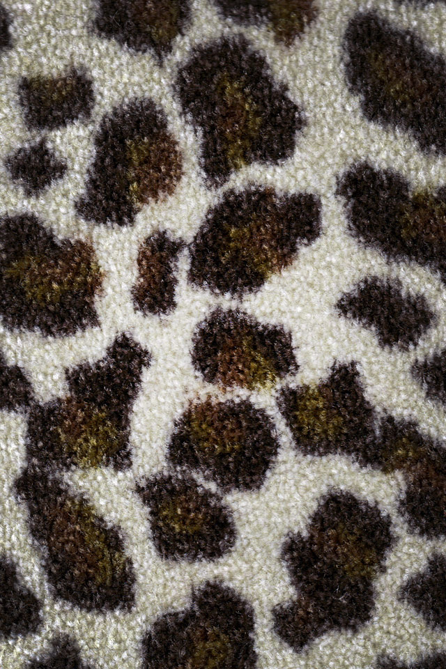 Download leopard print iPhone wallpaper
