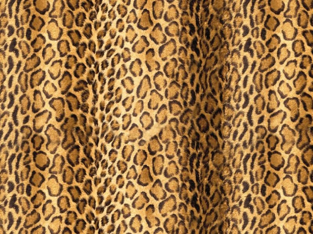 Awesome Cheetah Prints Backgrounds Inventiveness Blanket