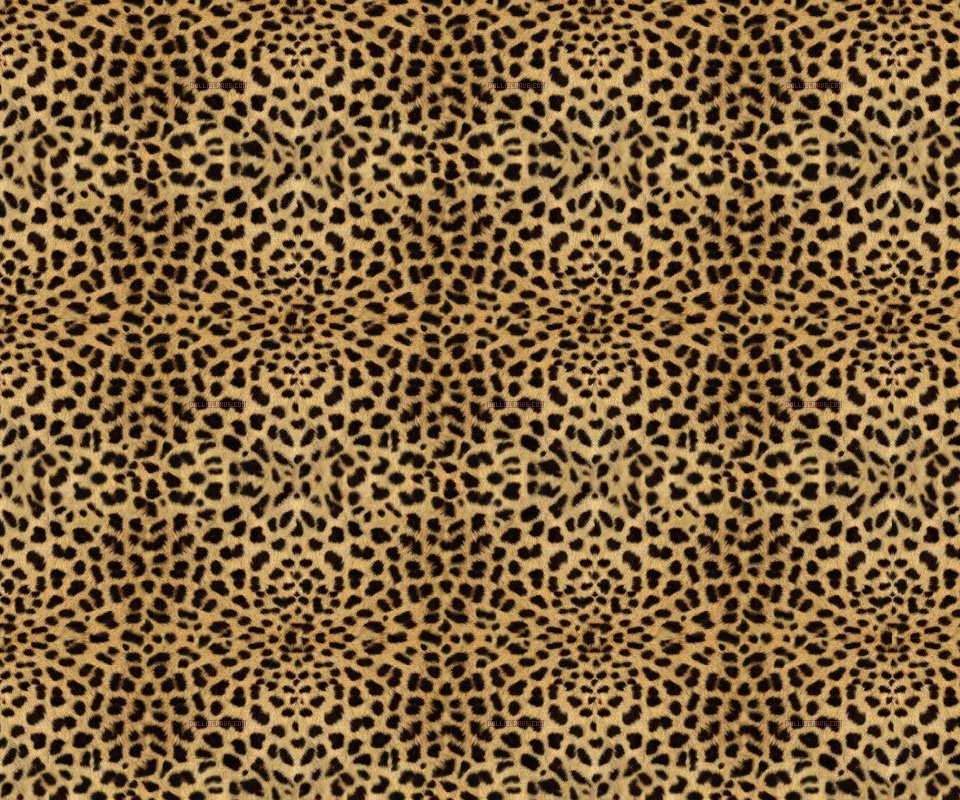 Download free for Android screensaver Cheetah Print