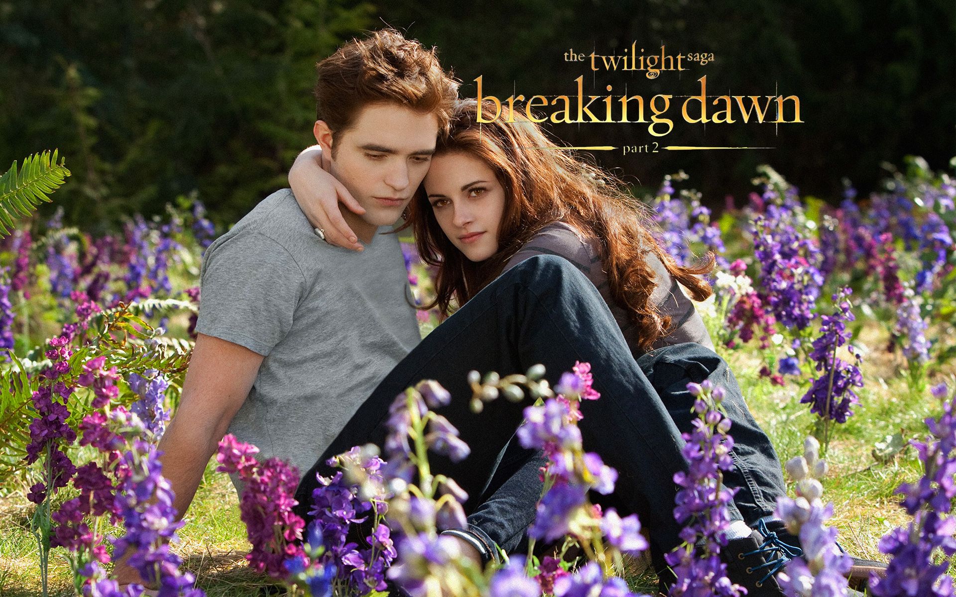 BD part 2 wallpaper - The Twilight Saga Breaking Dawn Part II