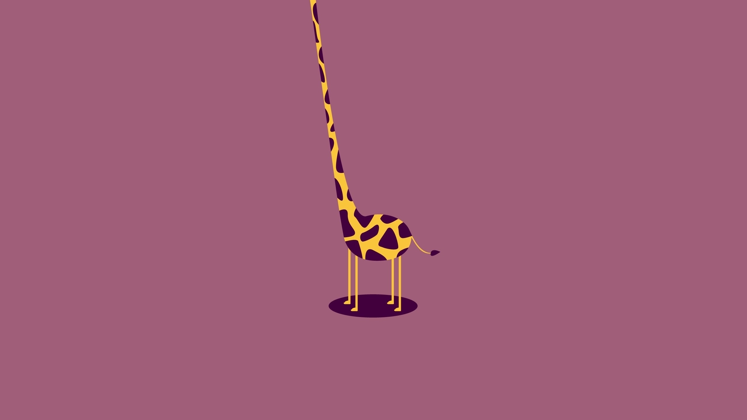 Download Wallpaper 2560x1440 Giraffe, Neck, Torso, Headless Mac