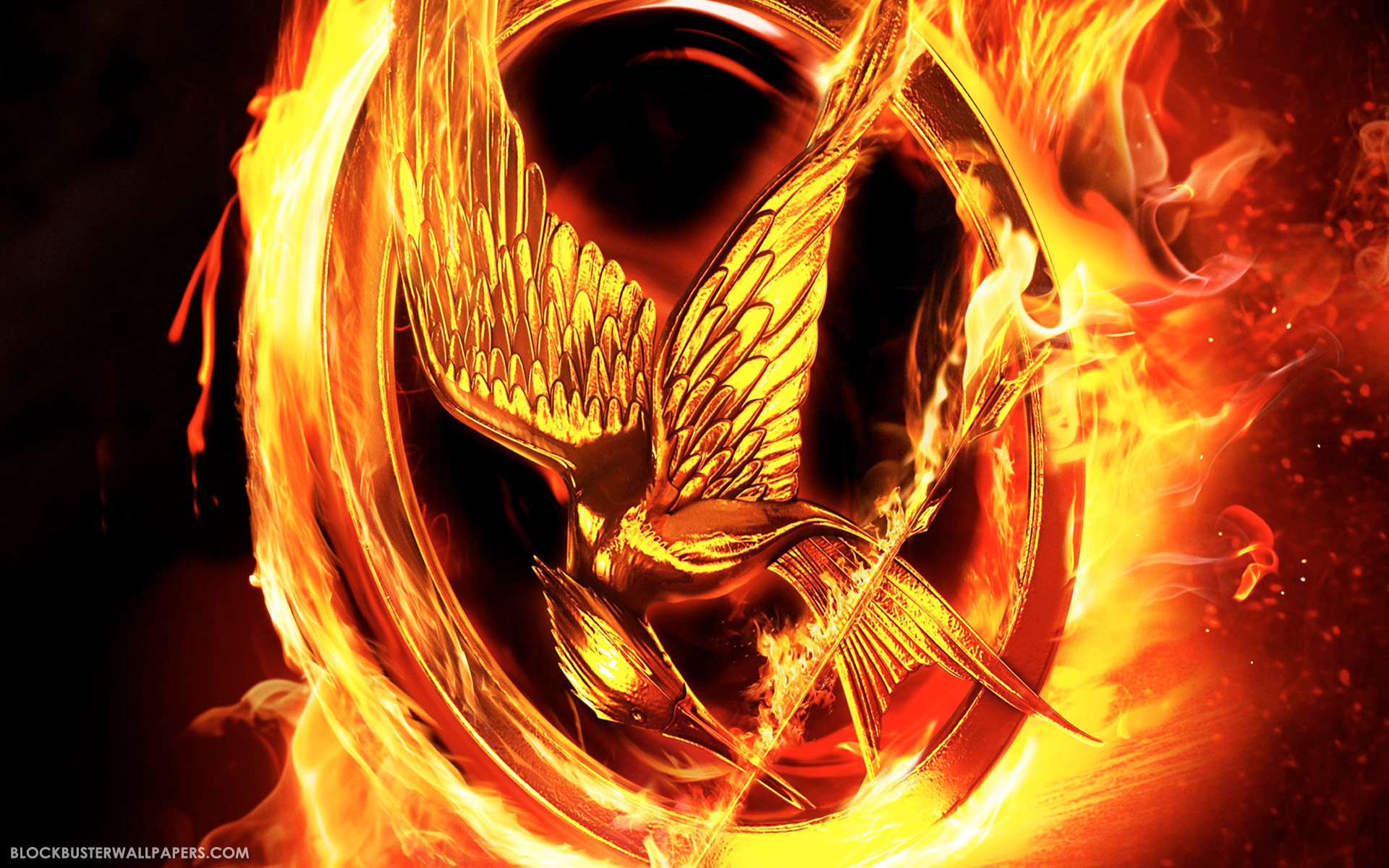 Hunger Games Symbol, 1920x1200 HD Wallpaper and FREE Stock Photo