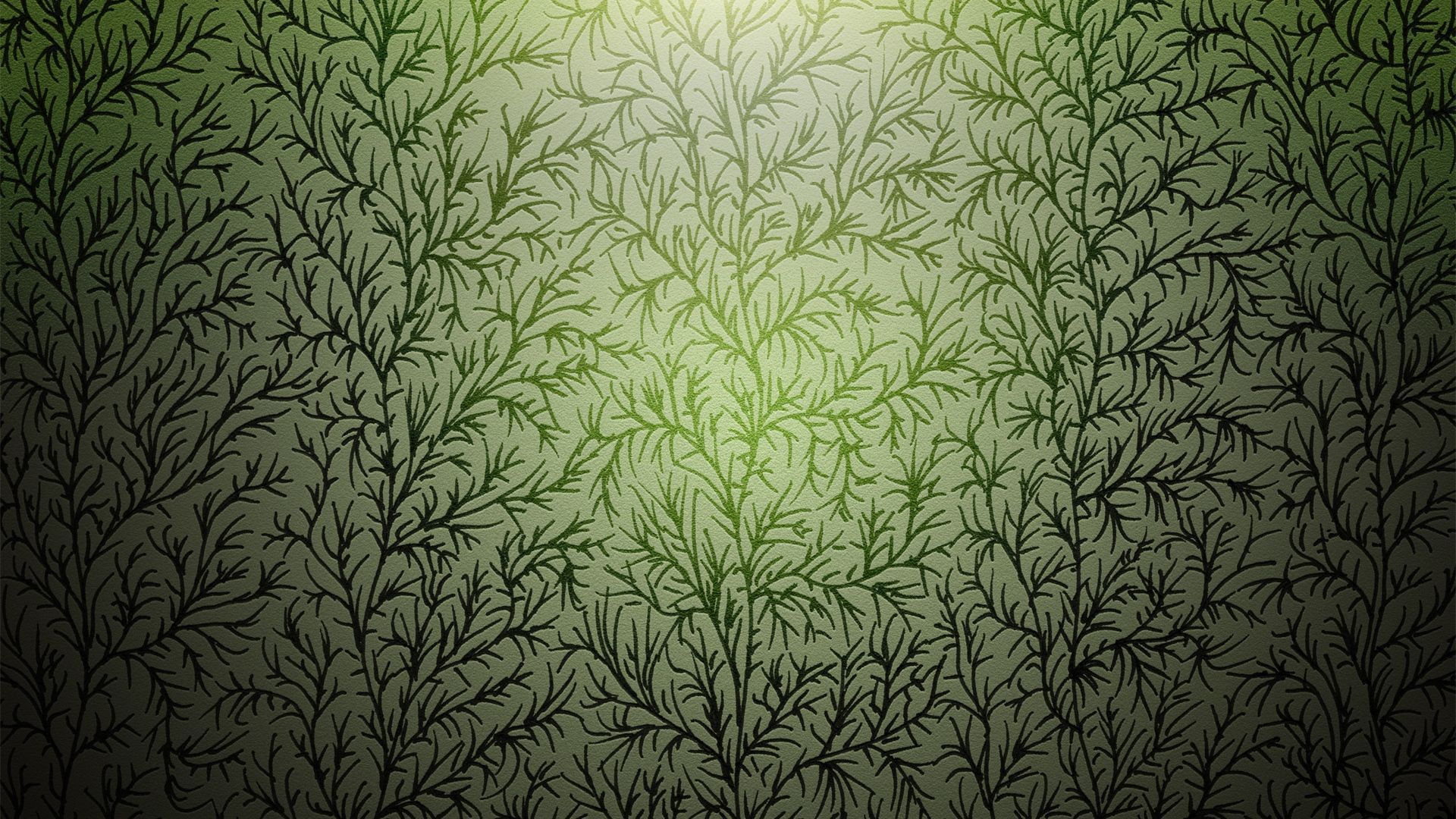 Download Wallpaper 1920x1080 Grass, Patterns, Backgrounds