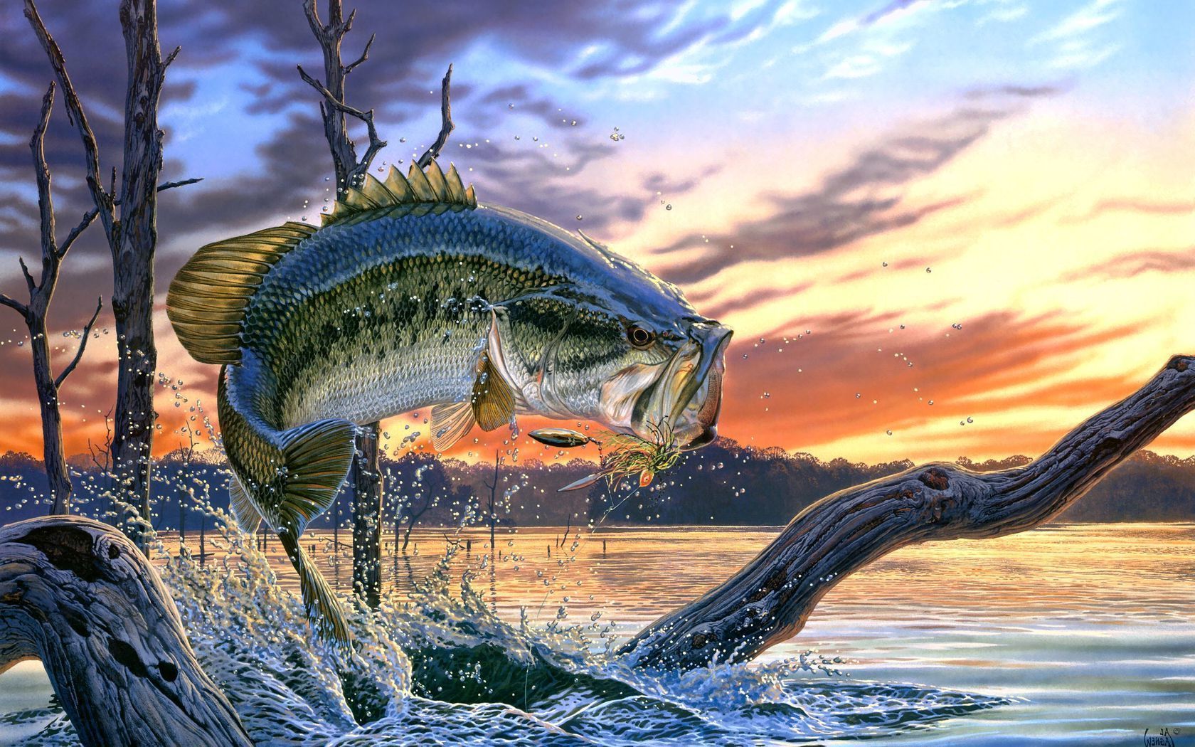 Bass Fishing Wallpaper Backgrounds