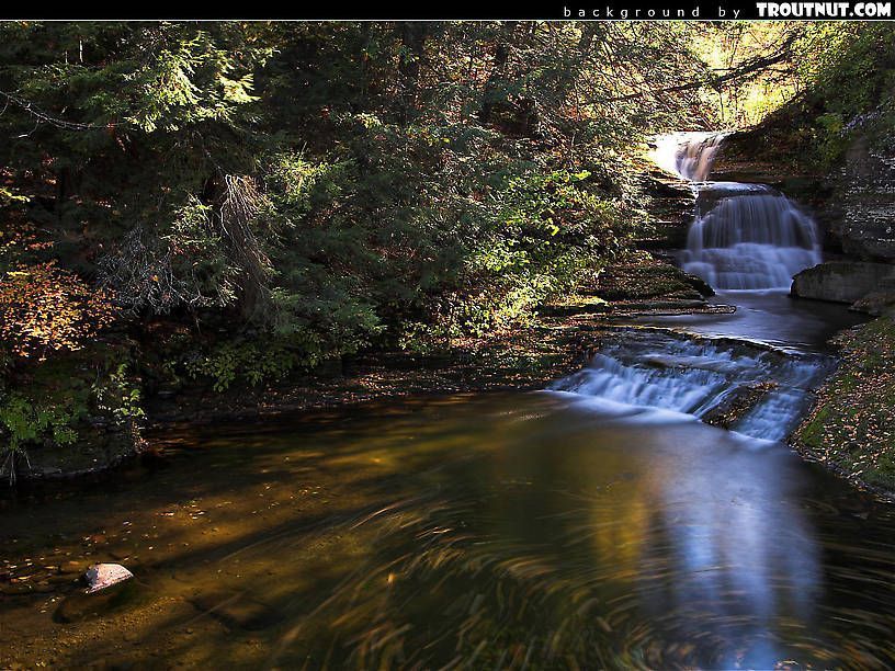 Free Desktop Backgrounds Hi res Nature Photography