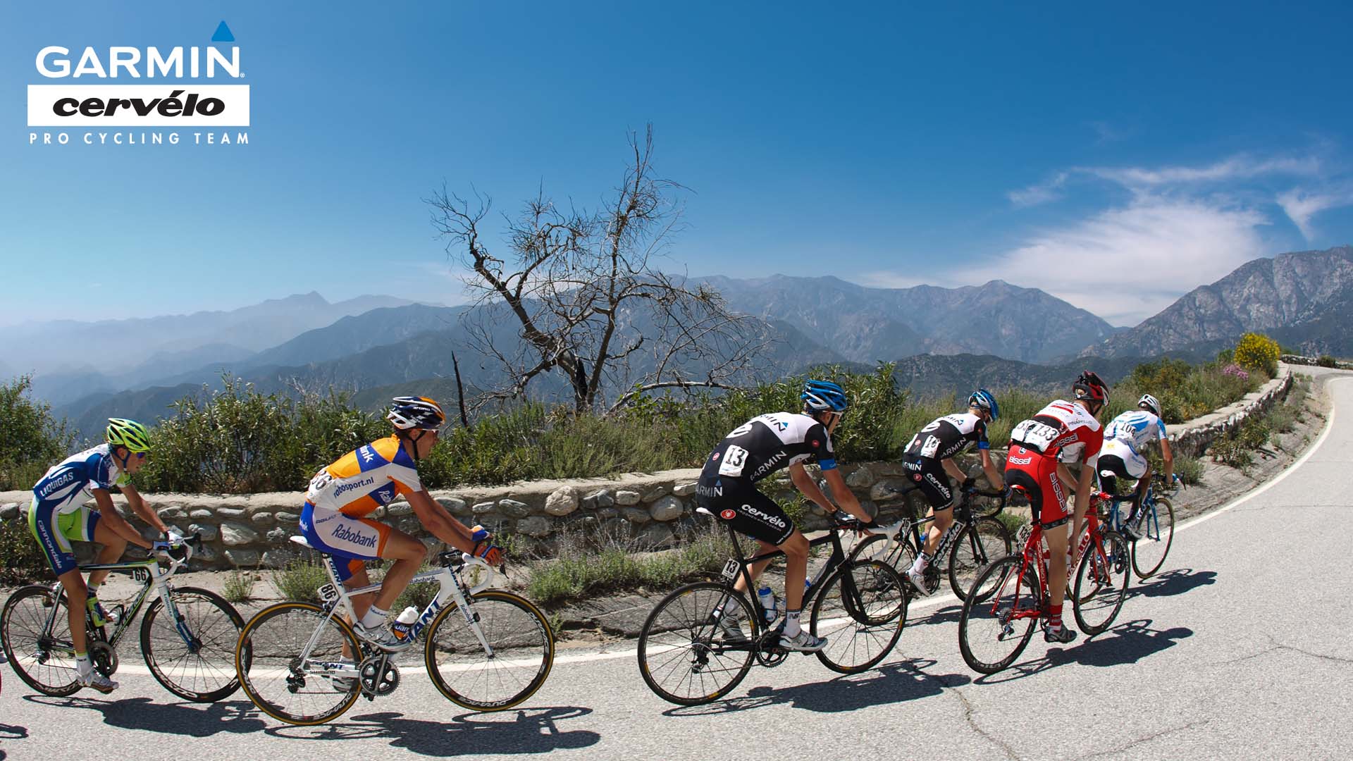 Cannondale Pro Cycling Team » Wallpaper: Stage 7 Breakaway, 2011 ...