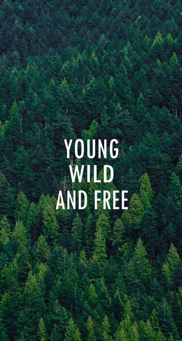 Young Wild And Free Forest Pattern iPhone 6 Plus HD Wallpaper