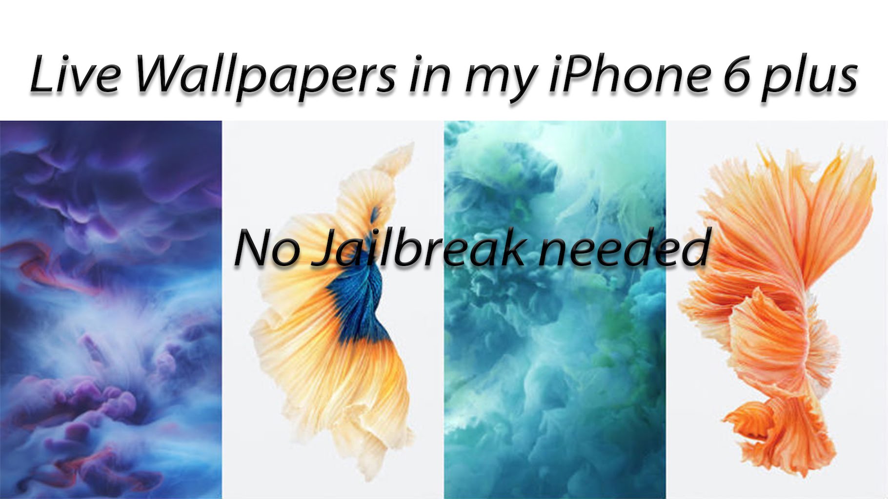 Live Wallpapers in my iphone 6 plus - No Jailbreak Needed - YouTube