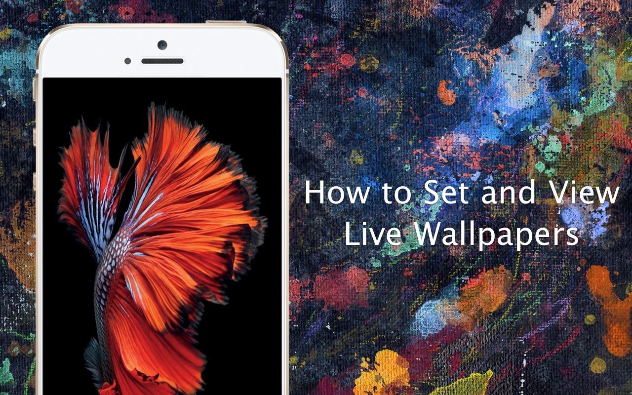 How to set Live Wallpapers on iPhone 6s and iPhone 6s Plus - YouTube
