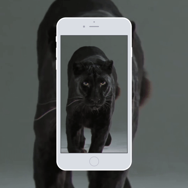 Live Wallpapers for iPhone 6s & 6s Plus - Make Your Screen Live