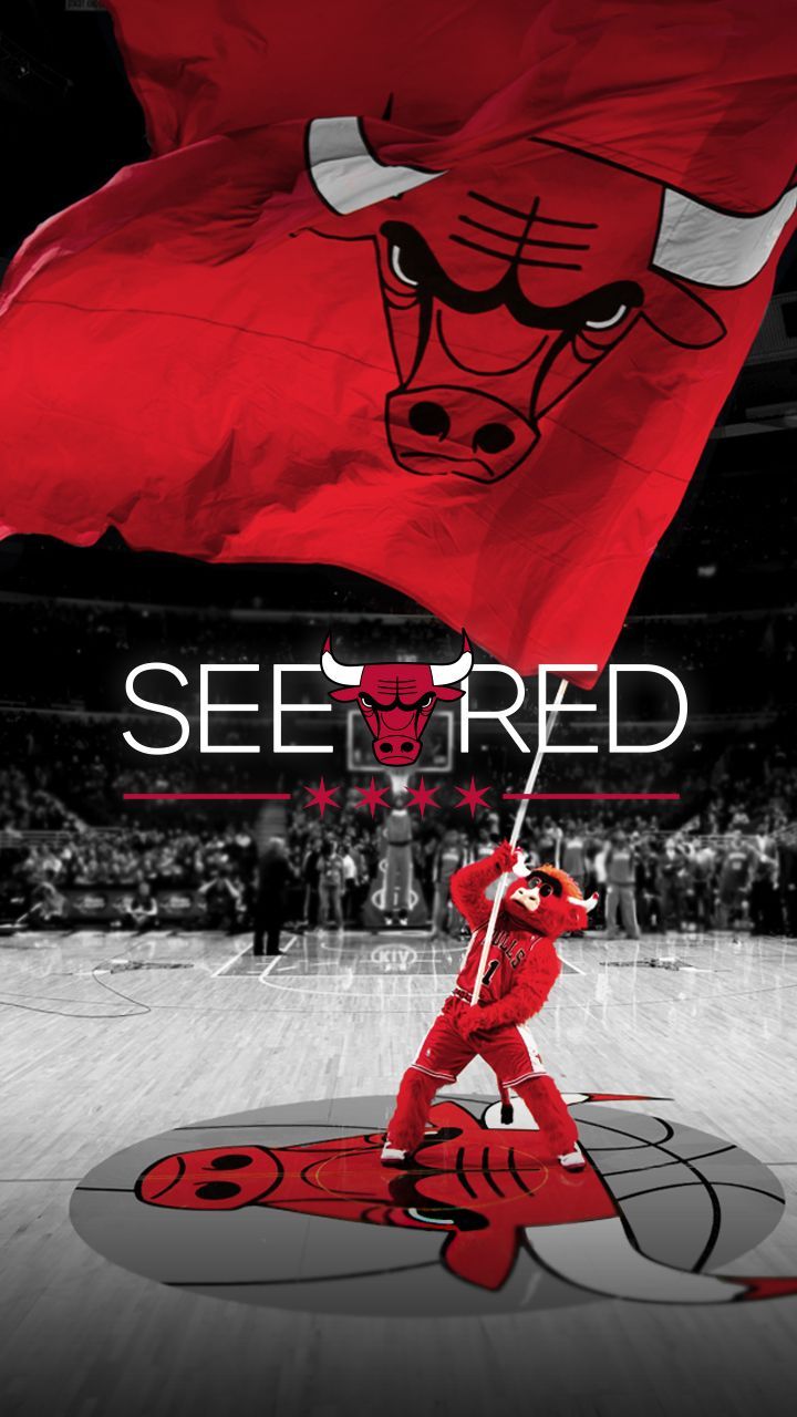 SEE RED | Chicago Bulls Playoffs