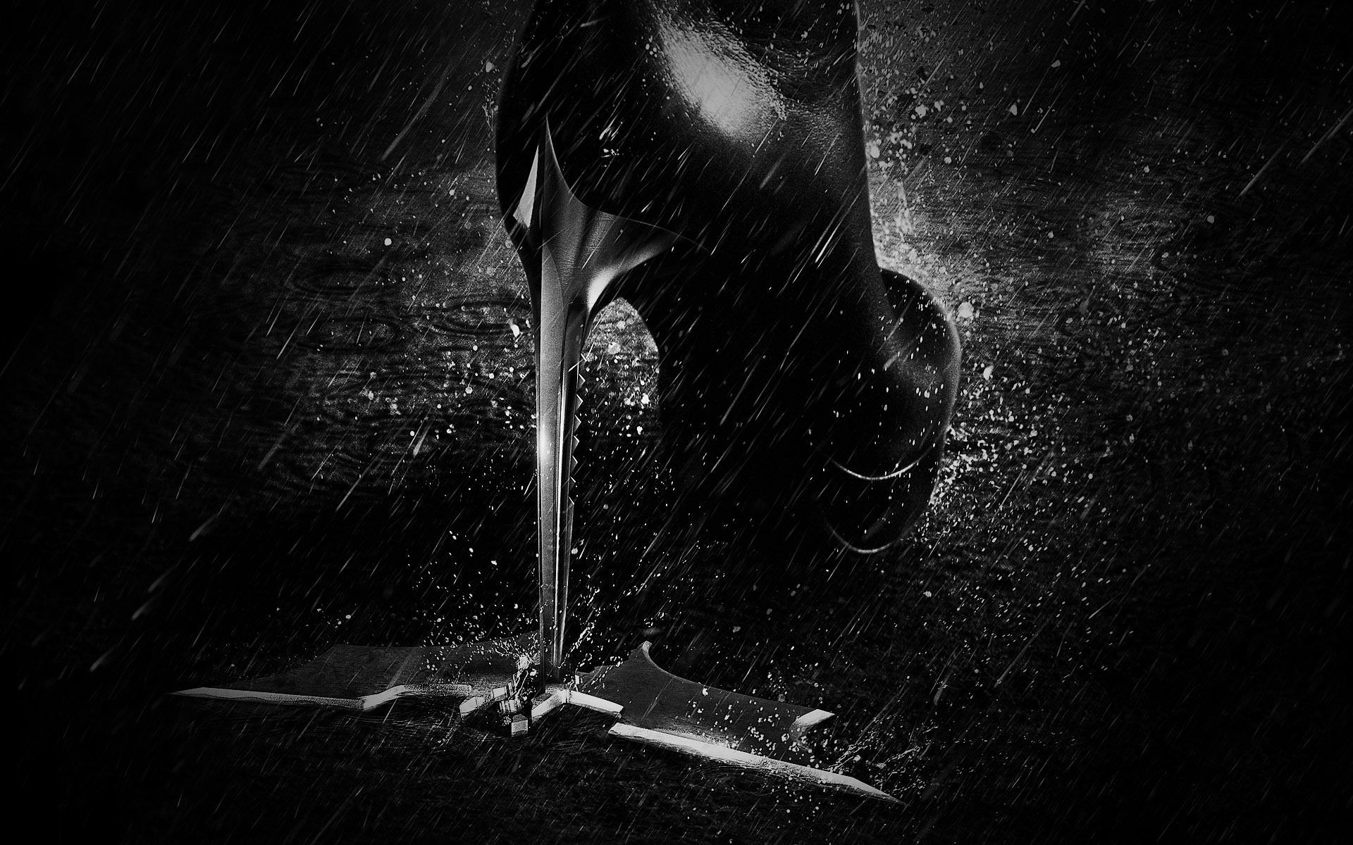 Catwoman destroying the batman logo Wallpaper 28144