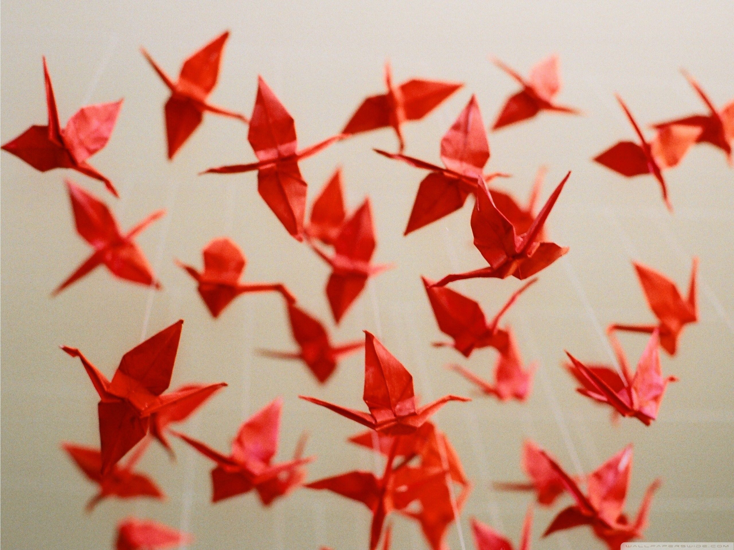 Paper Origami Papercraft Cranes Fresh New Hd Wallpaper [Your ...