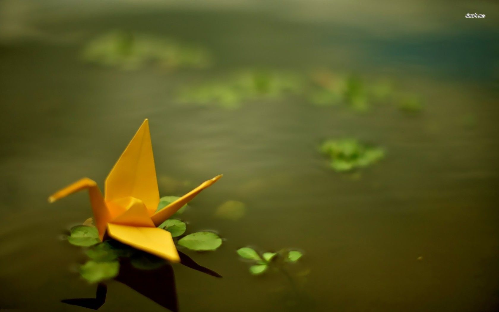 Origami crane floating on the pond wallpaper - Photography ...