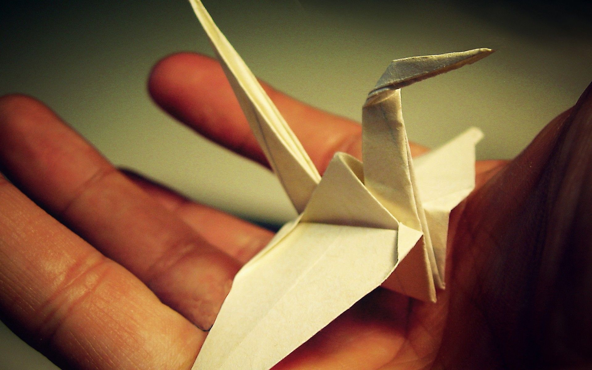 Origami Crane wallpapers | Origami Crane stock photos
