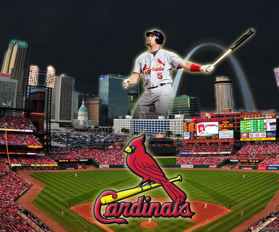 Imaginative St Louis Cardinals Eyebeam High Definition