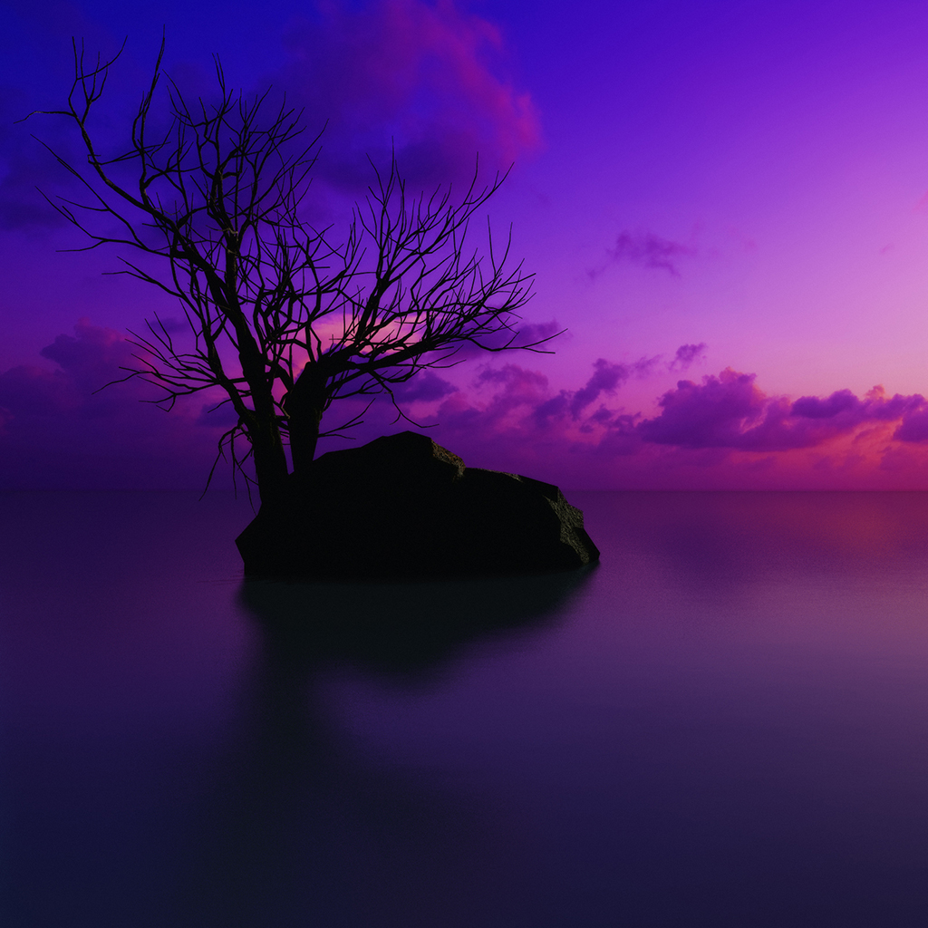 Purple Sunset iPad Wallpaper Download | iPhone Wallpapers, iPad ...