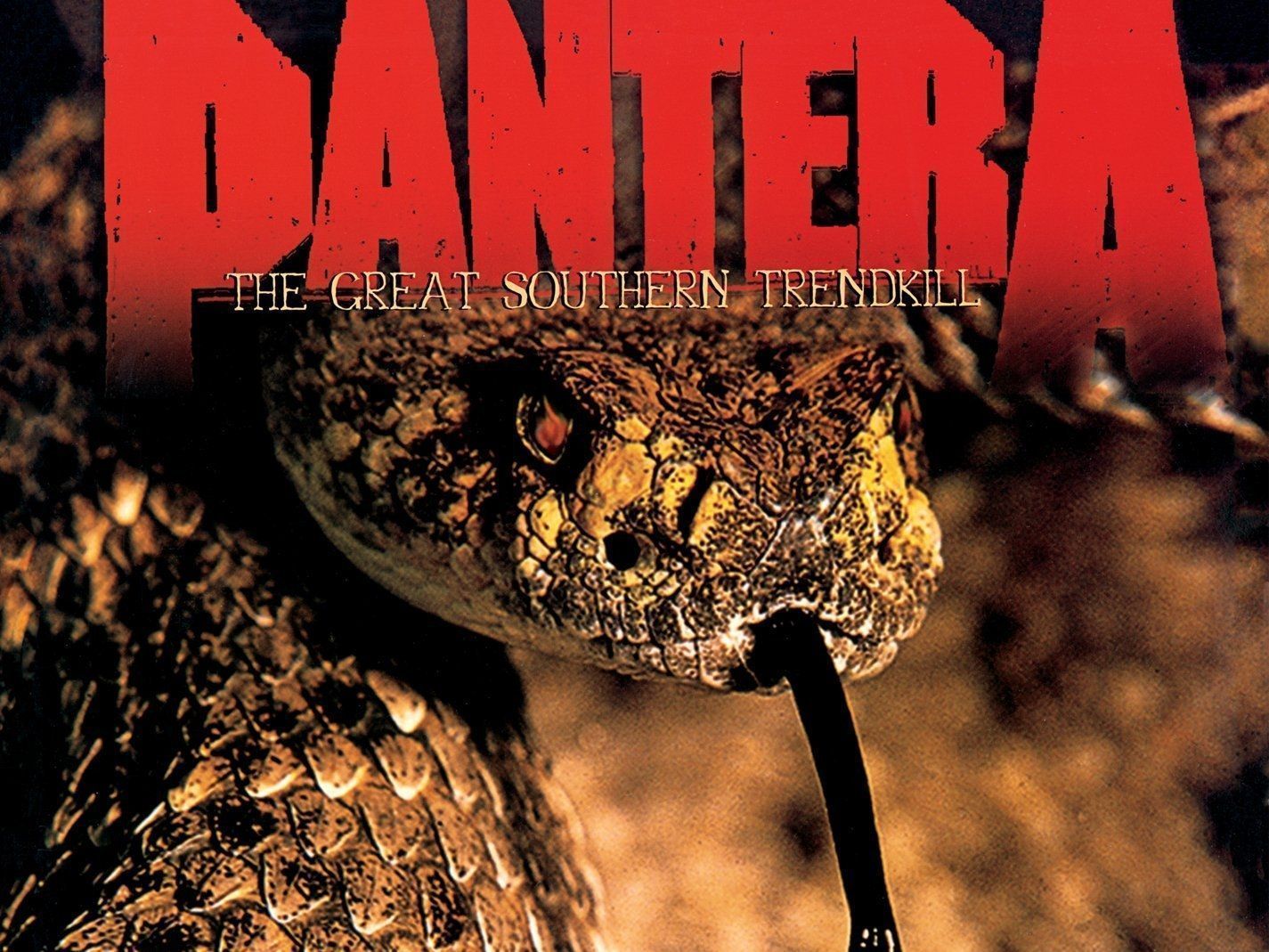 16 Pantera HD Wallpapers | Backgrounds - Wallpaper Abyss