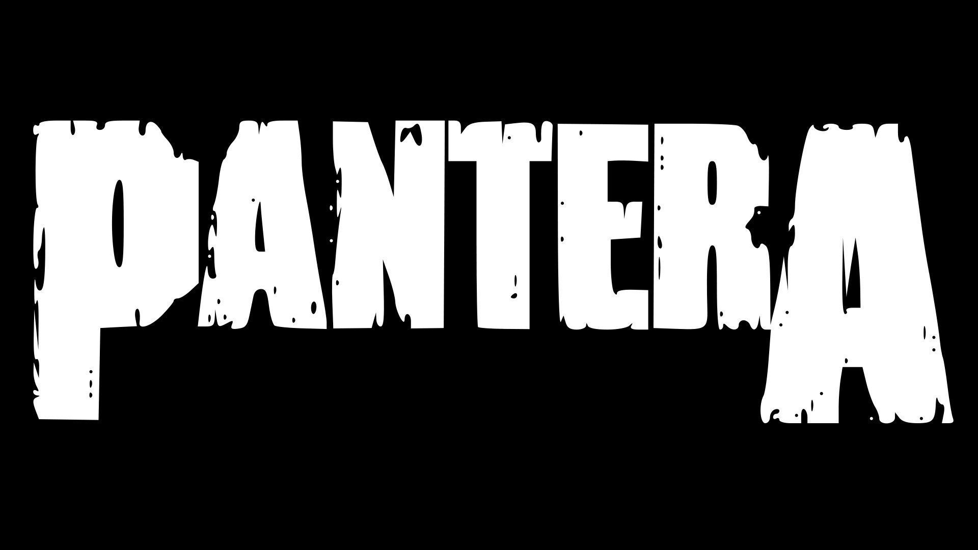 Pantera HD Wallpaper | 1920x1080 | ID:50223