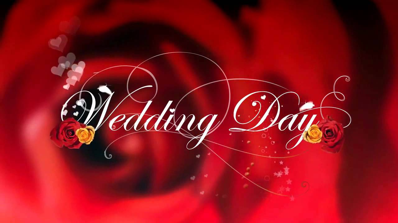 Video Background HD || Background Wedding Day HD - YouTube