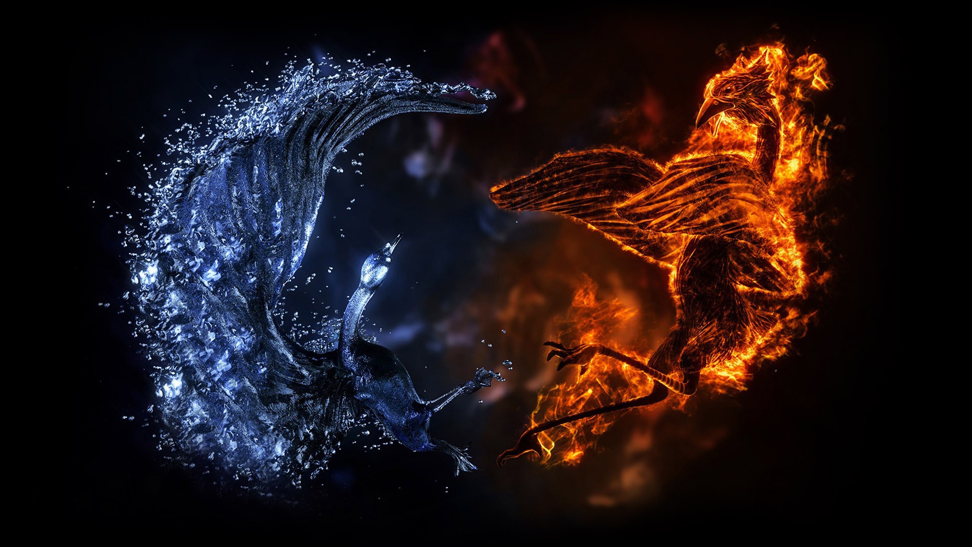 Battle of fire and water dragons wallpapers and images