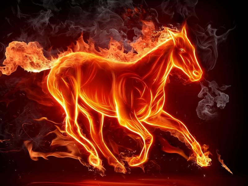 Wallpapers Water Fire Horse Awesome Free Hd 800x600 | #68264 ...