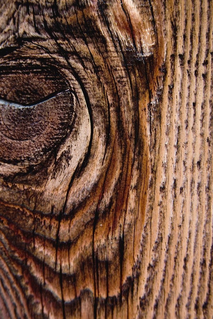Wood wallpaper for iPhone or Android. Tags woods, woodgrain