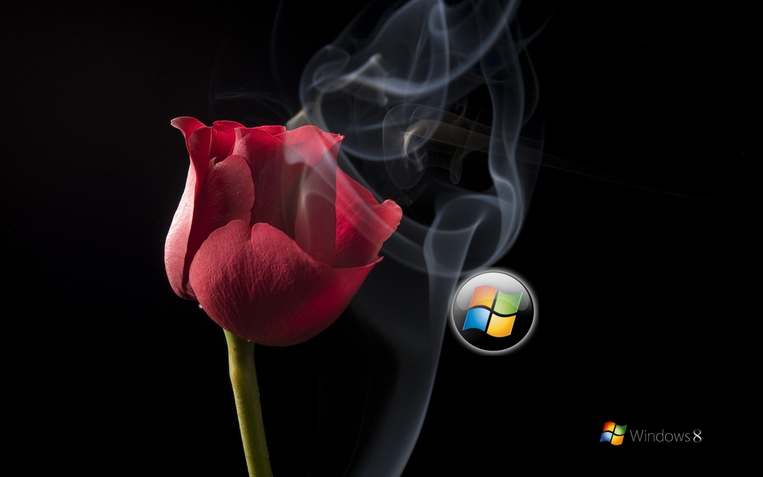 Windows 8 hd wallpapers free download ~ you are important