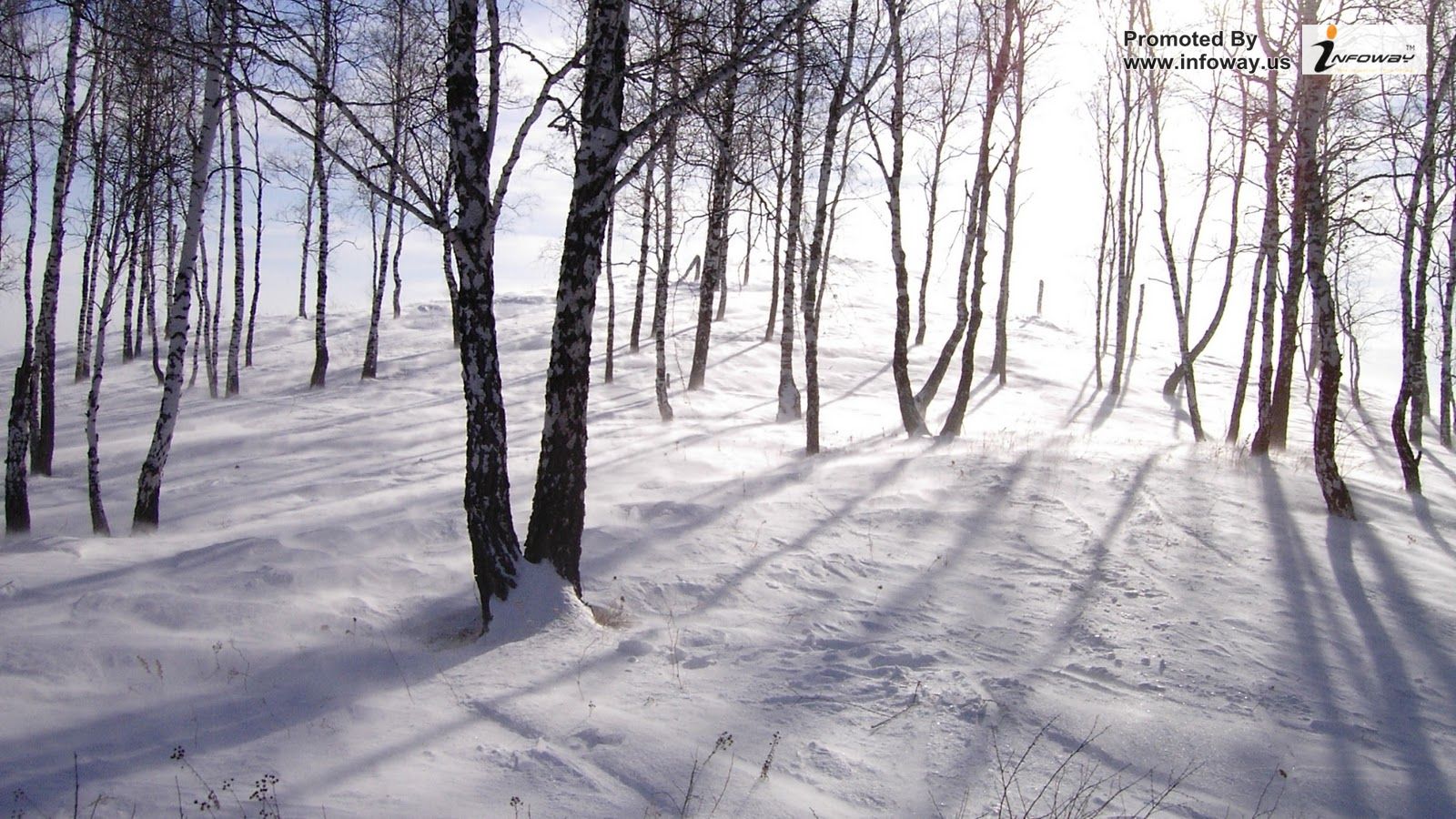 Winter Hd Images - Photo 57 of 331 | phombo.com