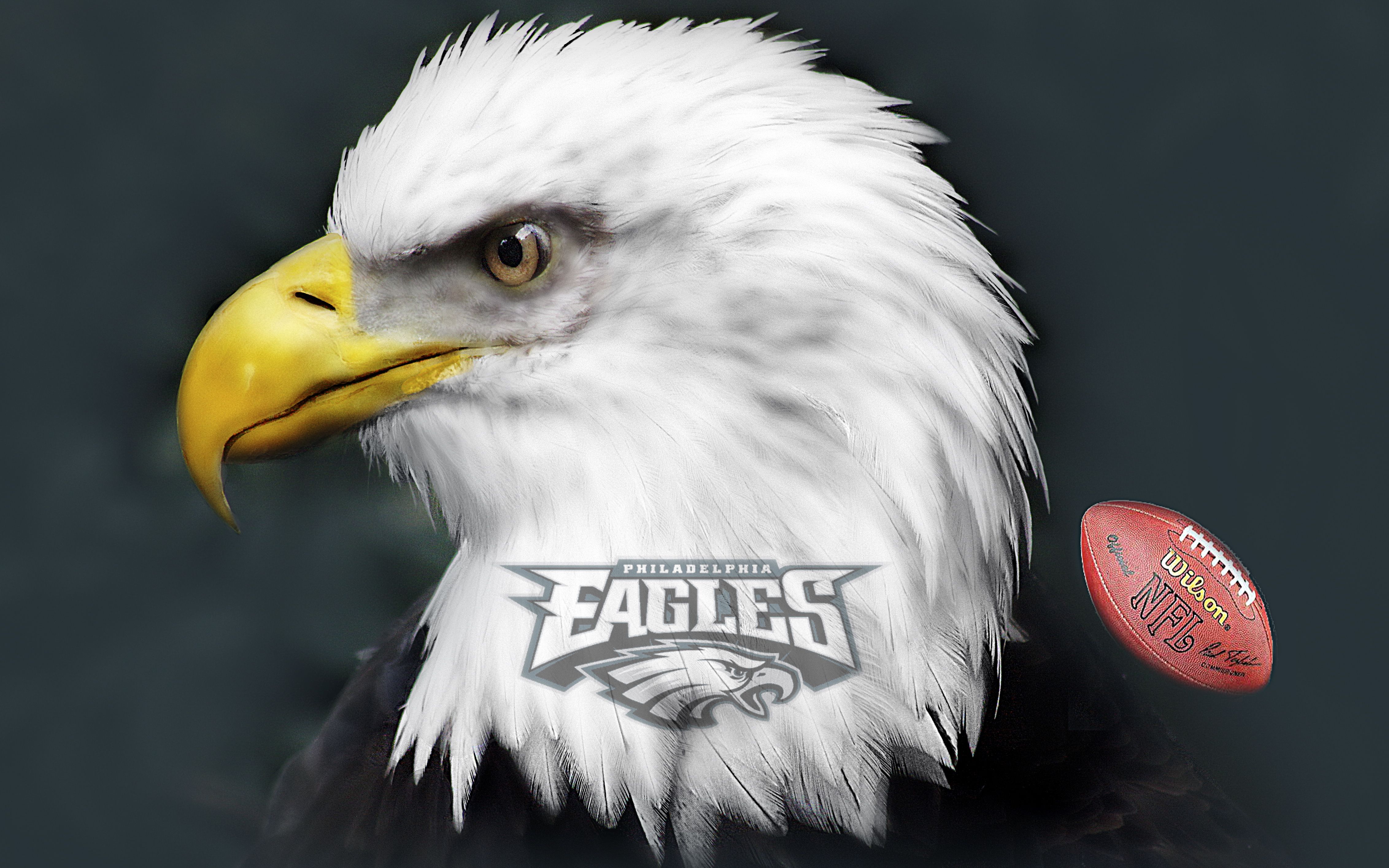 PHILADELPHIA Eagles Wallpaper | Flickr - Photo Sharing!