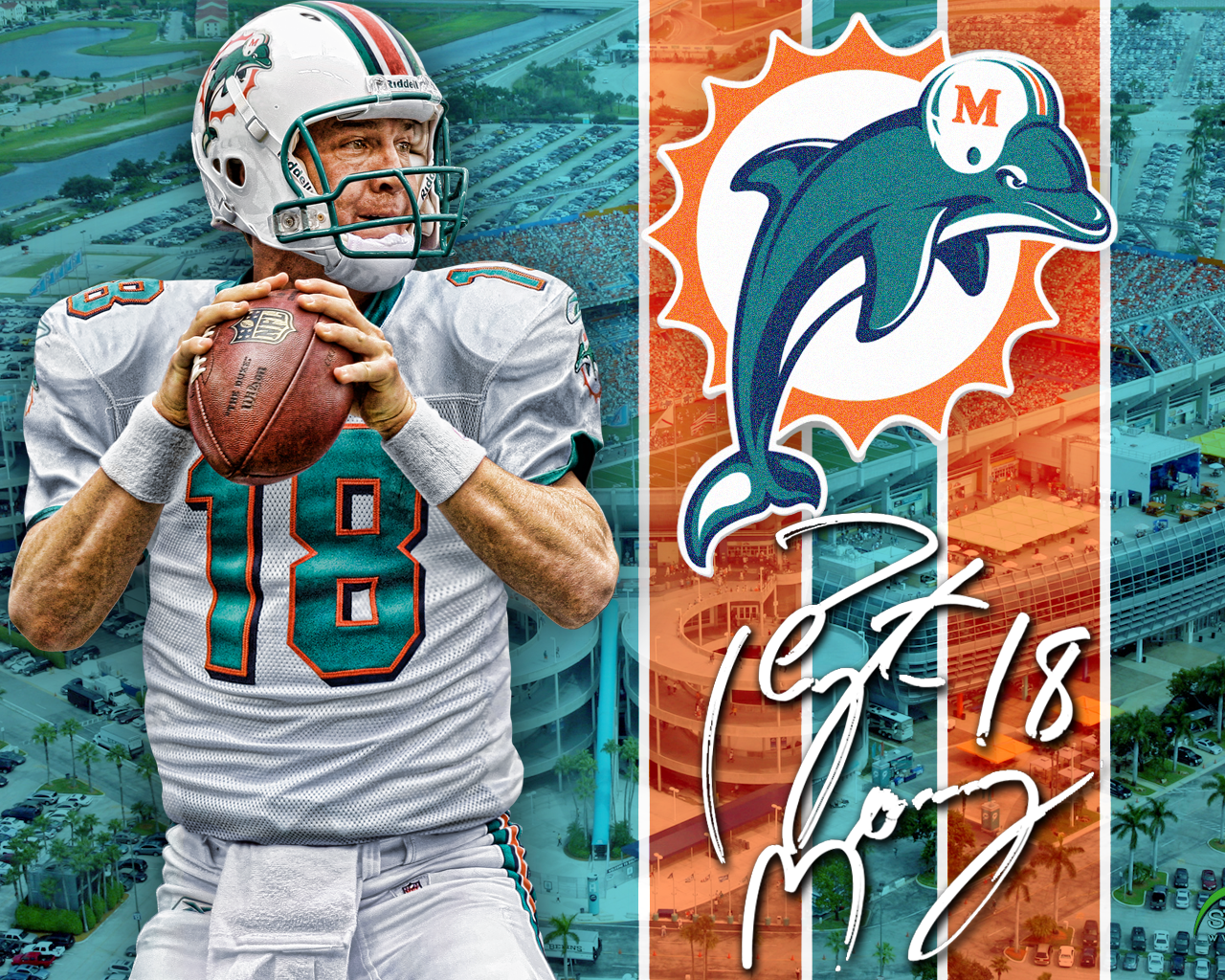 Miami Dolphins Wallpaper 2013 New Logo