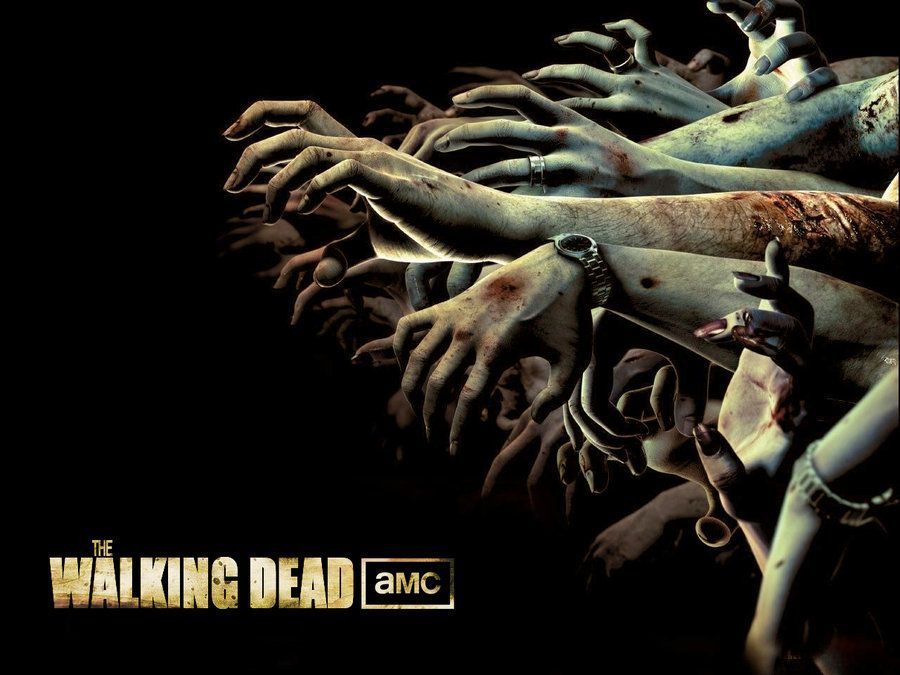 The Walking Dead - The Walking Dead Wallpaper (36705294) - Fanpop
