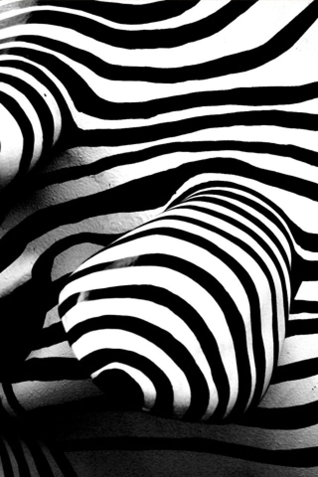 IMAGE | app gallery zebra
