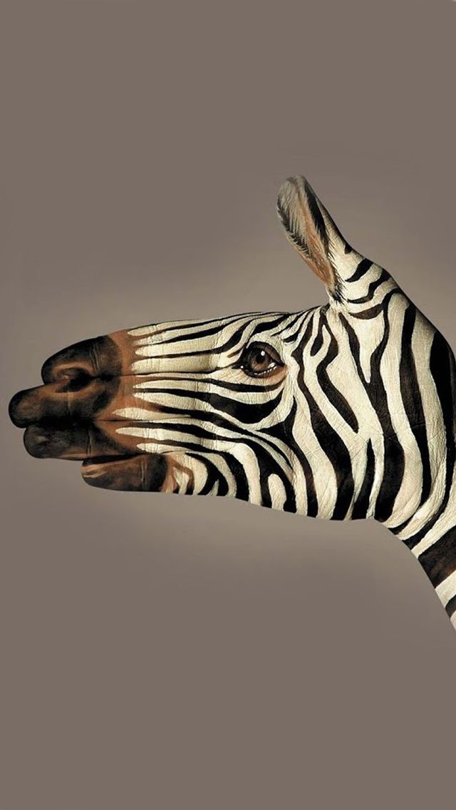 Zebra painted iPhone 5s Wallpaper Download | iPhone Wallpapers ...