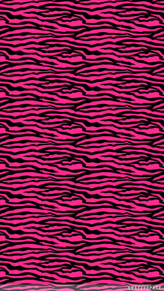 Hot Zebra iPhone Wallpaper