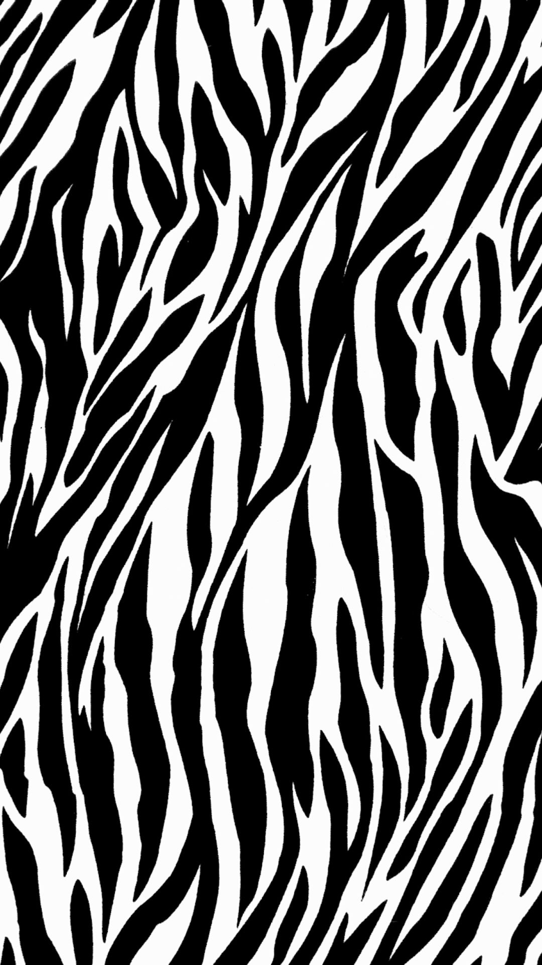 Zebra Iphone Wallpapers Group 48