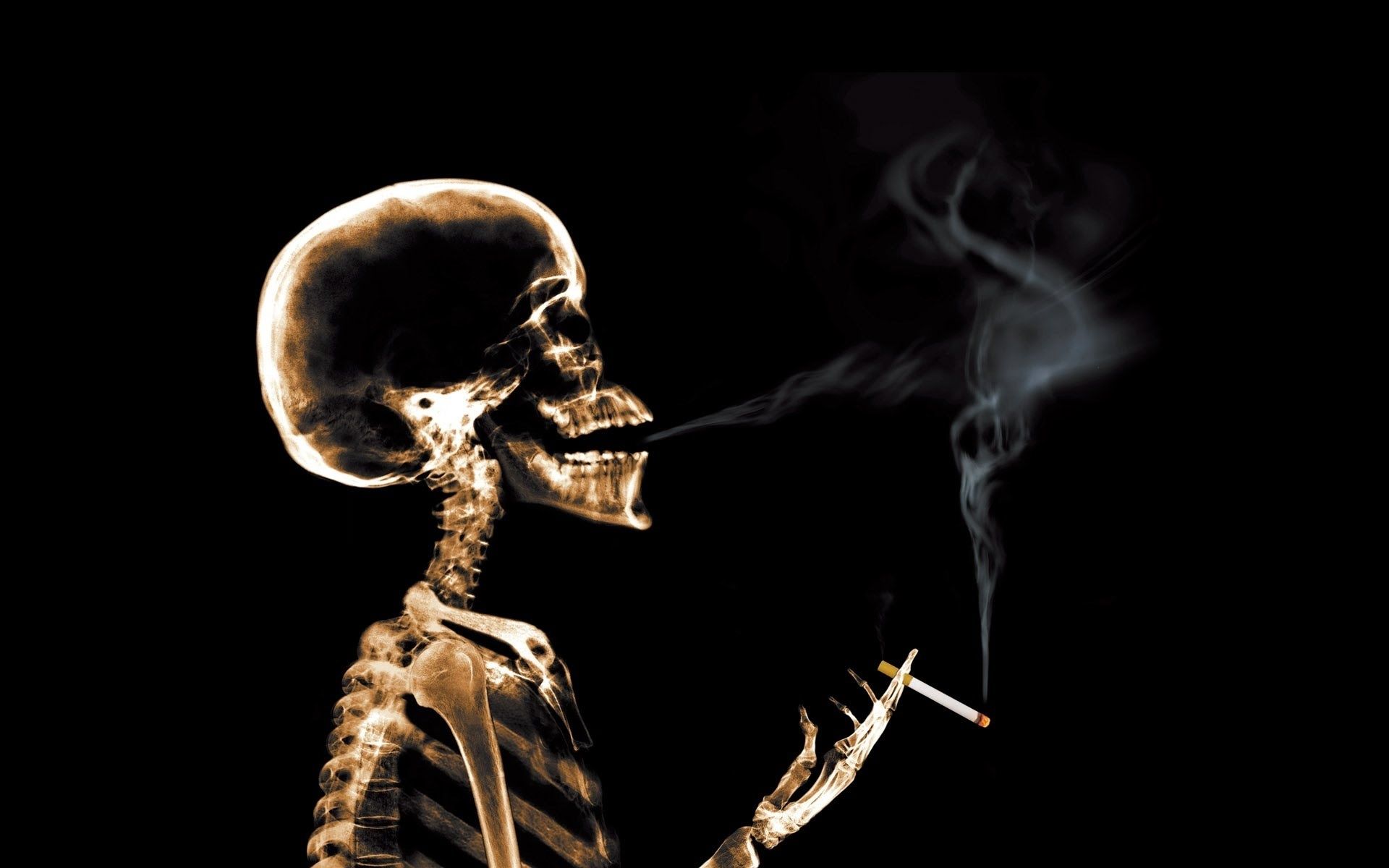 Smoking Skull Live Wallpaper - YouTube