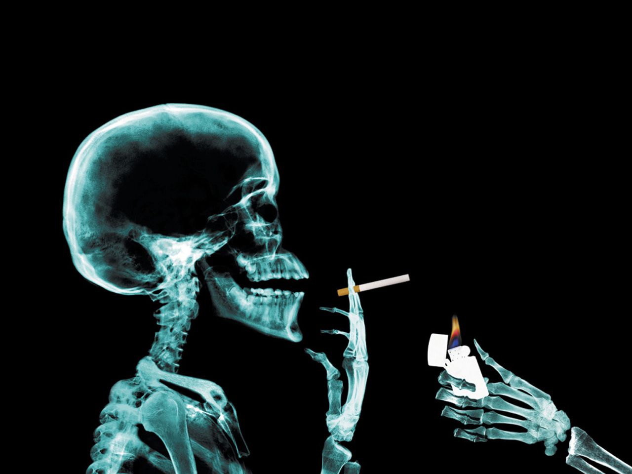 Smoking skull Wallpapers - HD Wallpapers 36311
