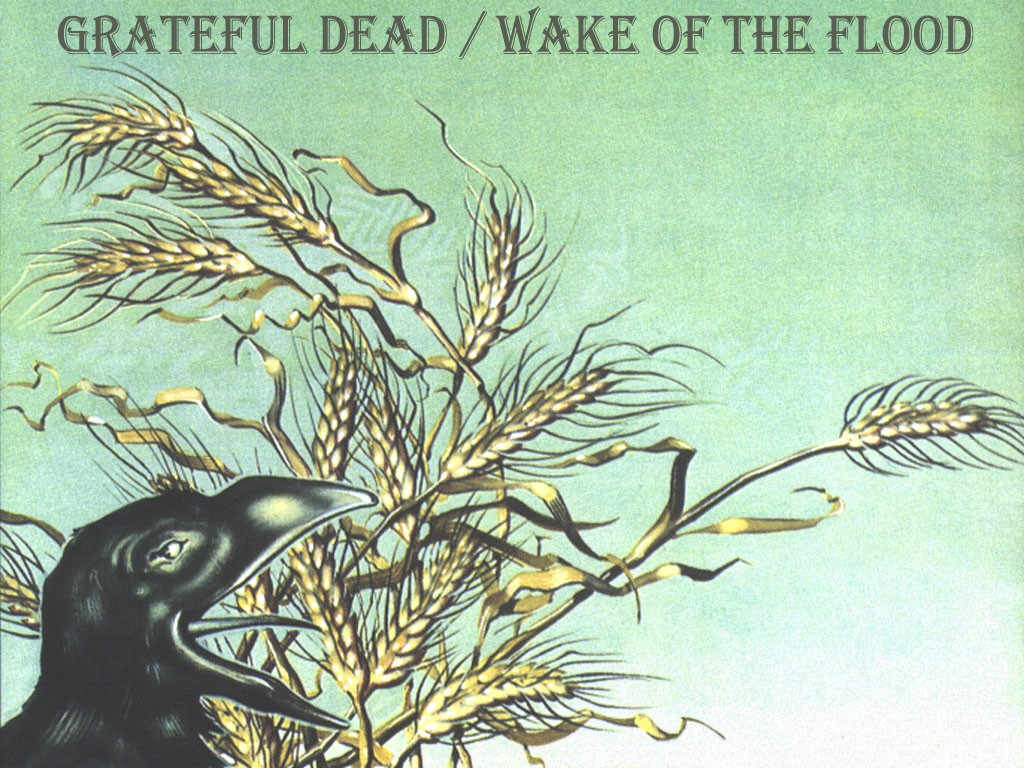 My Free Wallpapers - Music Wallpaper : Grateful Dead - Wake of the ...