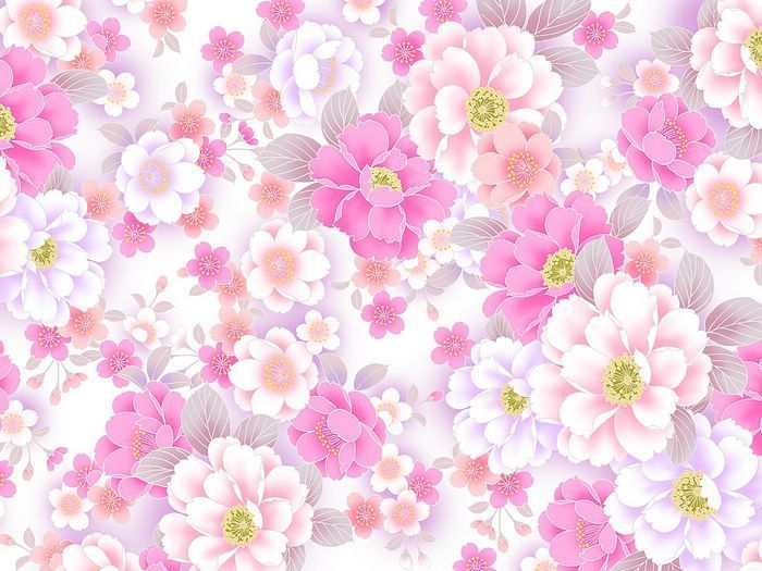Charming Poeny Flowers, Sweet Flowery Background (1920+1600 ) 4 ...
