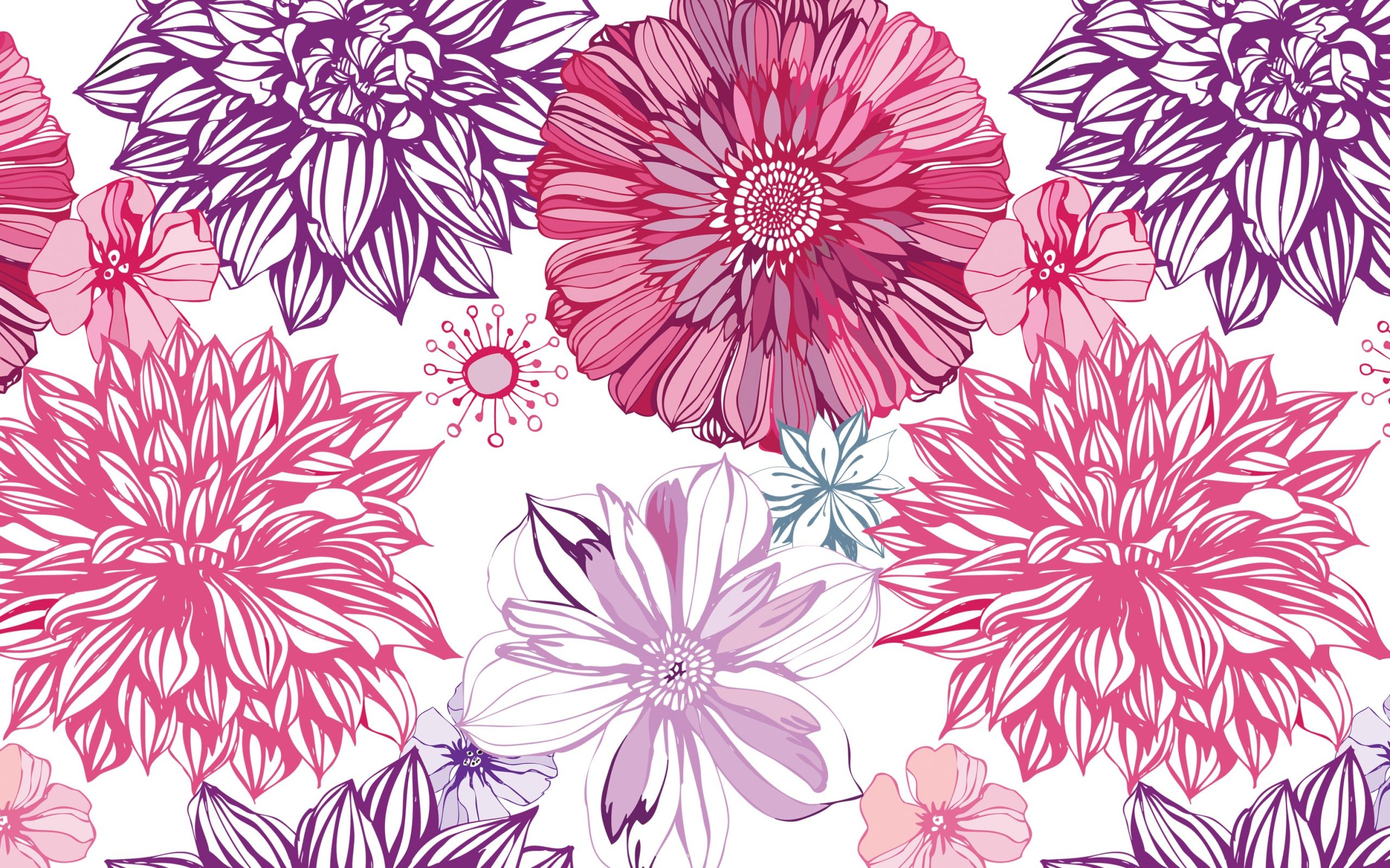 Download Wallpaper 2560x1600 Asters, Patterns, Backgrounds ...