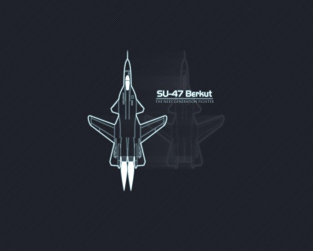 Su-47 Berkut by AlienSkinZ on DeviantArt