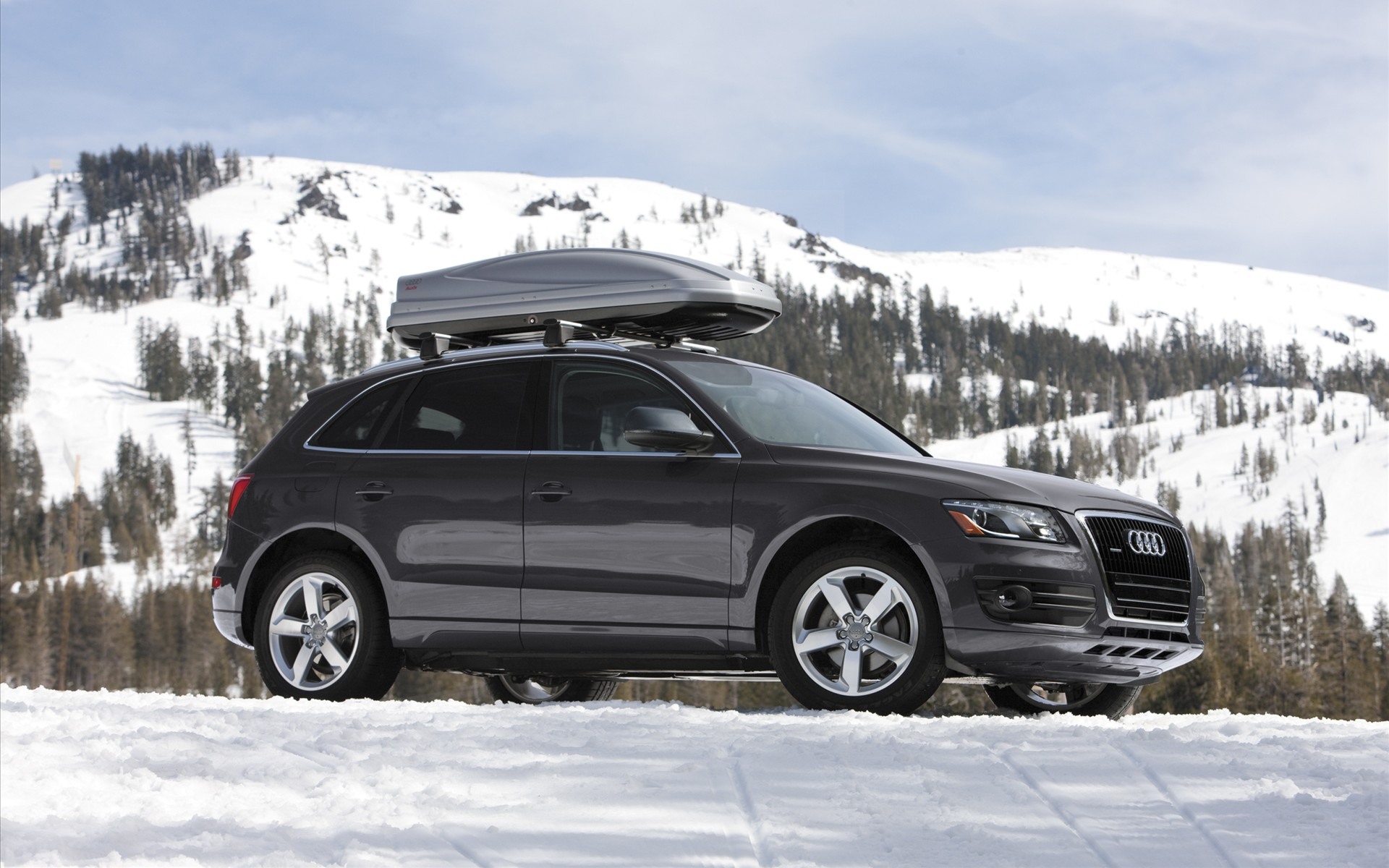 Awesome Audi Q5 Wallpaper Full HD Pictures