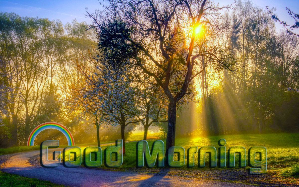 Good morning nature hd images for facebook share quotes good ...