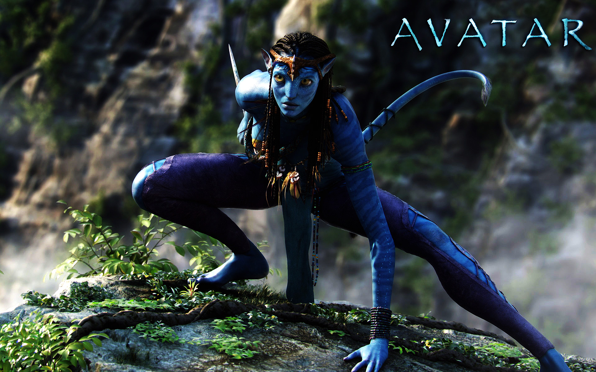Avatar Images