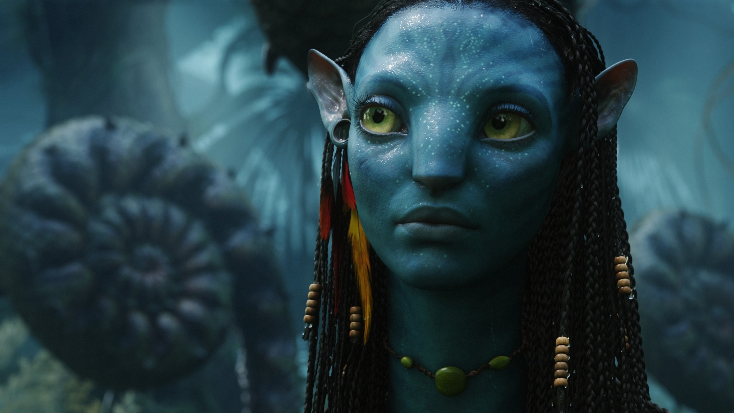 Avatar movie 54707 2560x1440