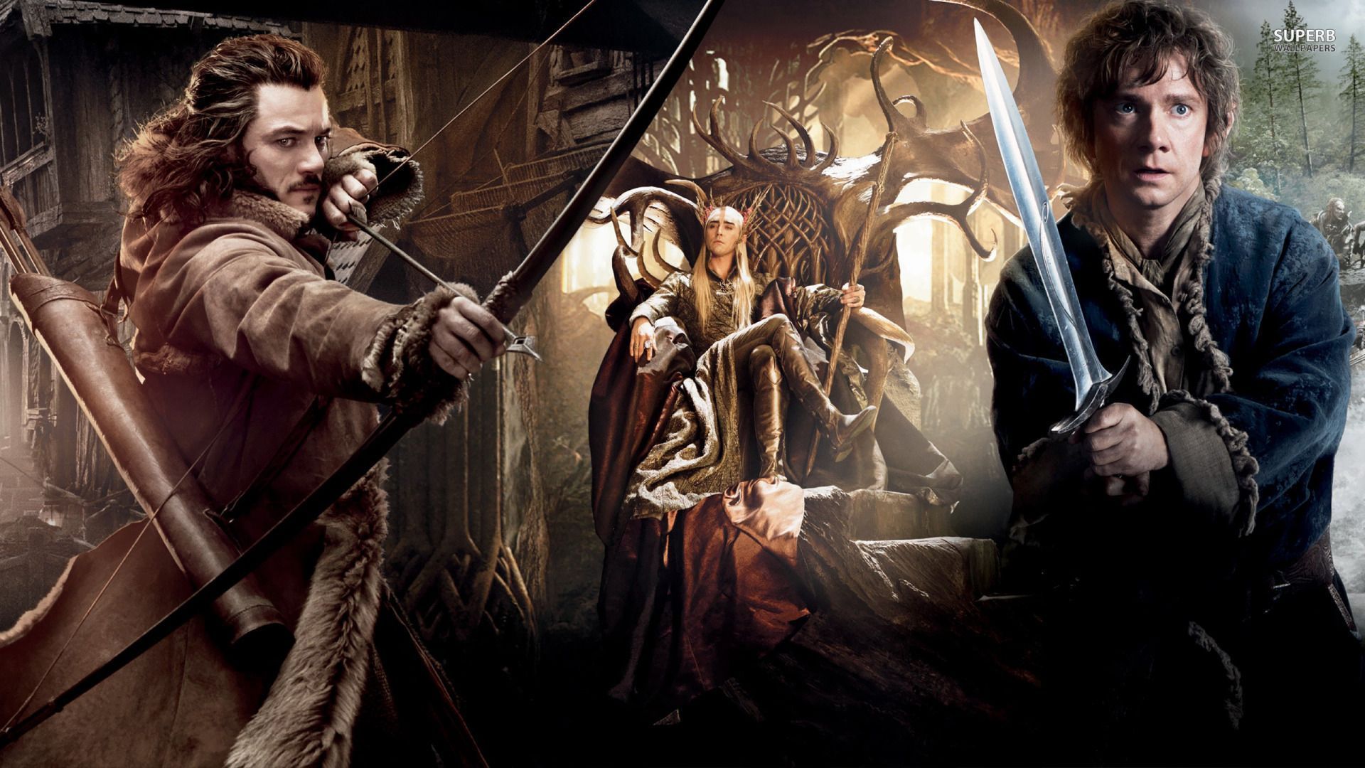 The Hobbit: The Desolation of Smaug wallpaper - Movie wallpapers ...