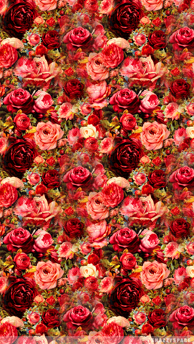 Rose Garden iPhone Wallpaper
