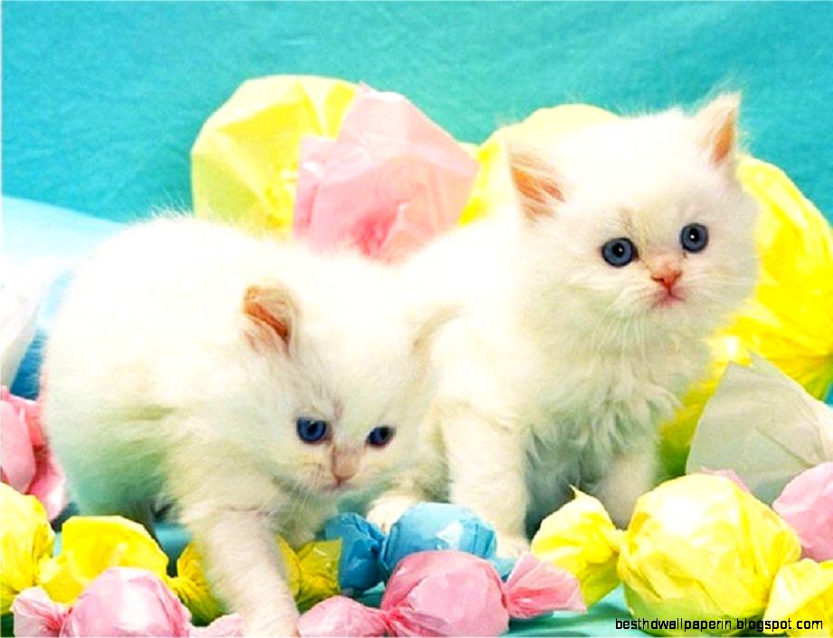 Cute Easter Backgrounds | Best HD Wallpapers