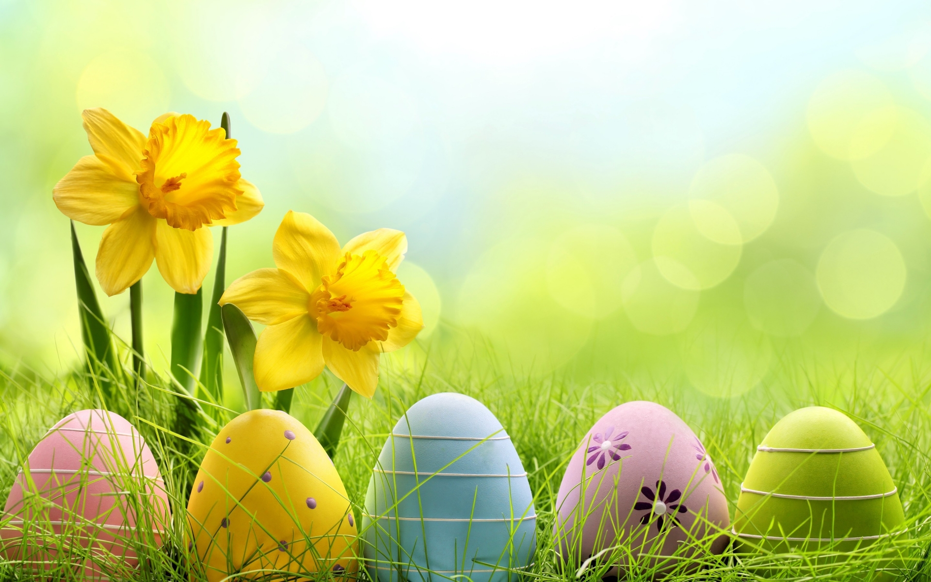 Easter Time Eggs HD Wallpapers Real HD Wallpaper Entertainment